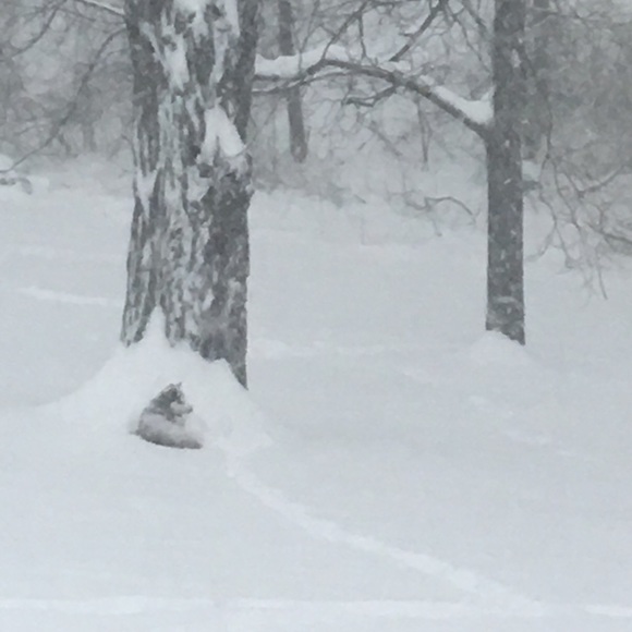 Meet your Posher, Tracy - Picture 4 of 5